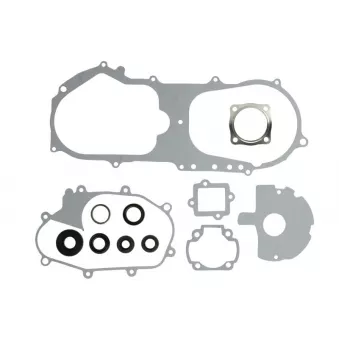 Jeu de joints moteur WINDEROSA 811908