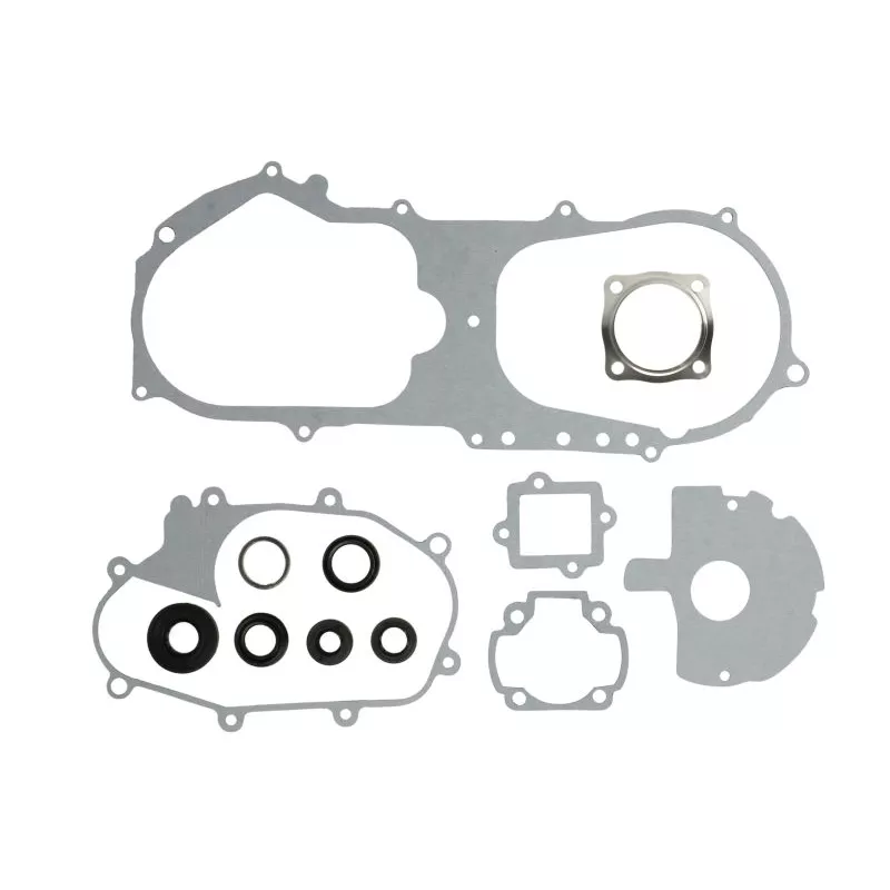 Jeu de joints moteur WINDEROSA 811908