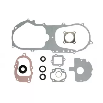 Jeu de joints moteur WINDEROSA 811892