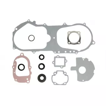 Jeu de joints moteur WINDEROSA 811887