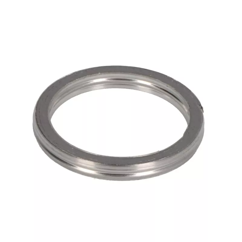 Joint d'étanchéité, tuyau d'échappement WINDEROSA 823051