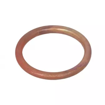 Joint d'étanchéité, tuyau d'échappement WINDEROSA 823061