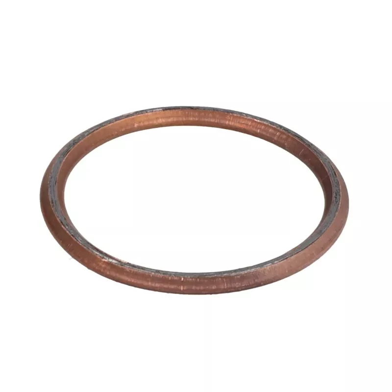 Joint d'étanchéité, tuyau d'échappement WINDEROSA 823068