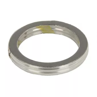 Joint d'étanchéité, tuyau d'échappement WINDEROSA 823096