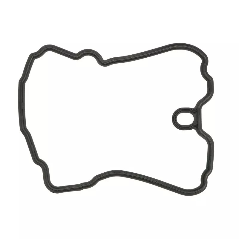 Joint de cache culbuteurs WINDEROSA 817985