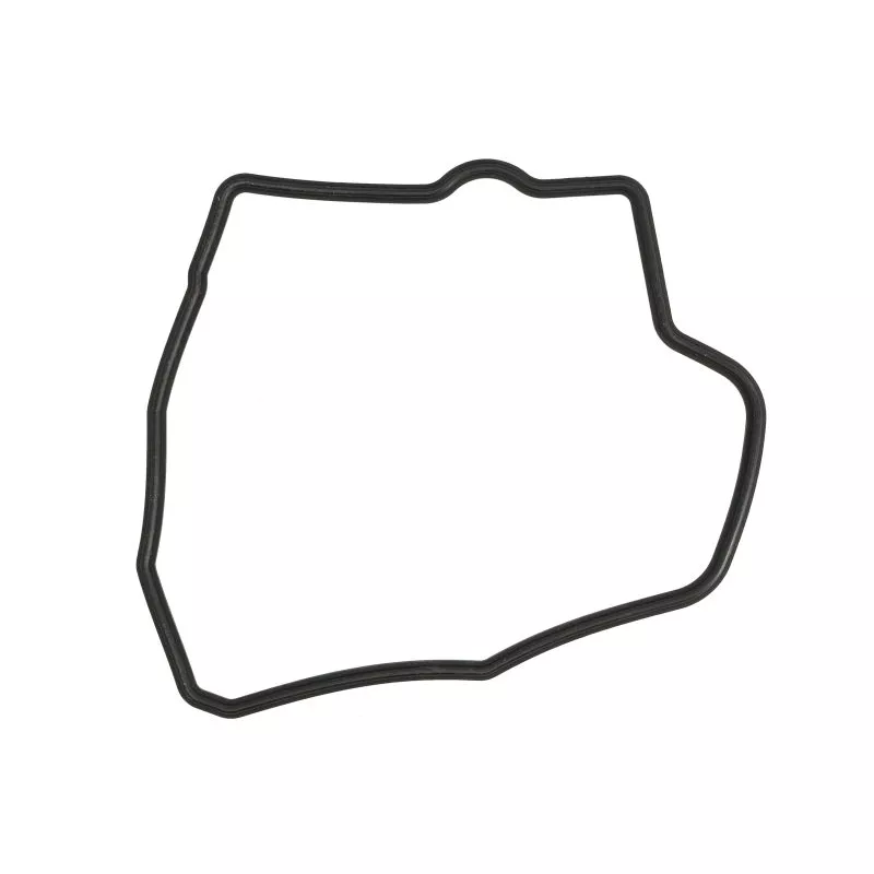 Joint de cache culbuteurs WINDEROSA 819066