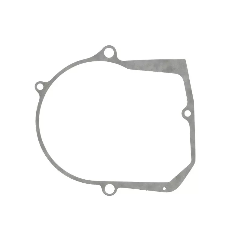Joint de couvercle d'alternateur WINDEROSA 816108