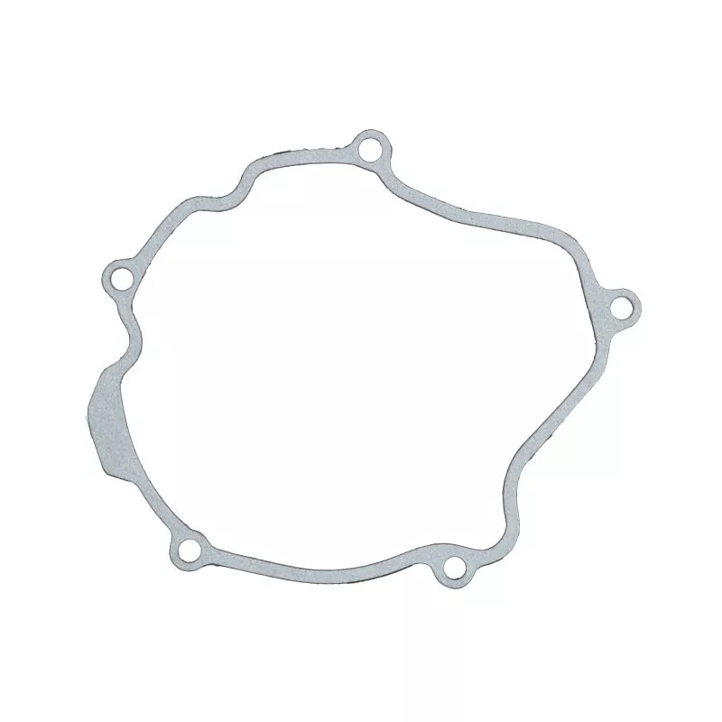 Joint de couvercle d'alternateur WINDEROSA 817494