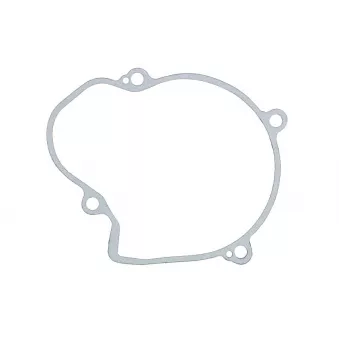 Joint de couvercle d'alternateur WINDEROSA 816684