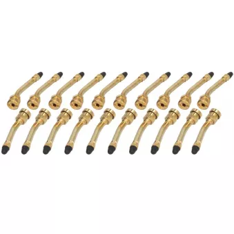 Valve de roue PROFITOOL 0XVA V3.20.5