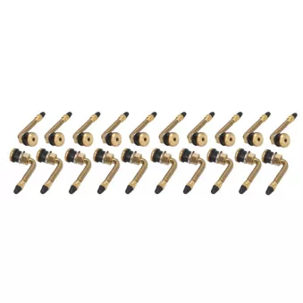 Valve de roue PROFITOOL 0XVA TR570C