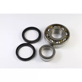 Roulement de roue arrière KANACO H28010
