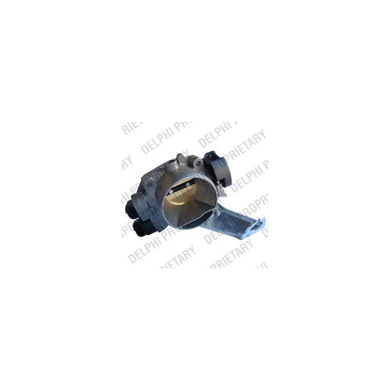 Corps papillon DELPHI AT10024-12B1