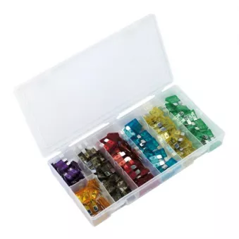 Un jeu de fusibles SEALEY BCF120