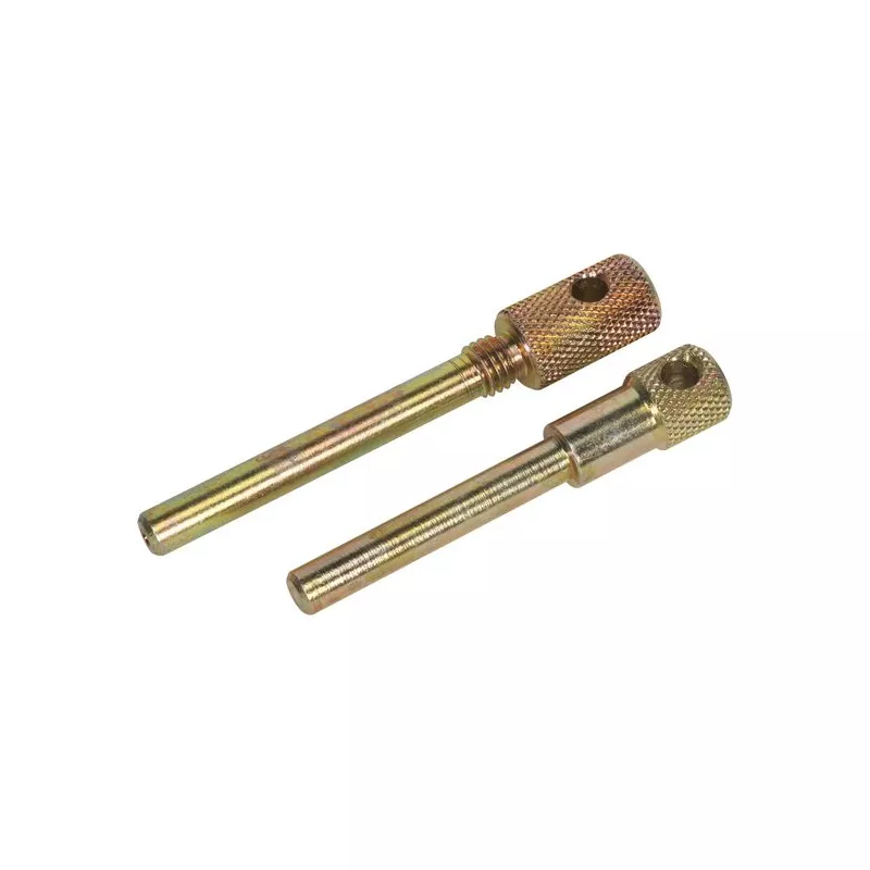 Piges de calage moteur SEALEY VSE1901A
