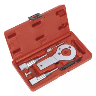 Piges de calage moteur SEALEY VSE5886A