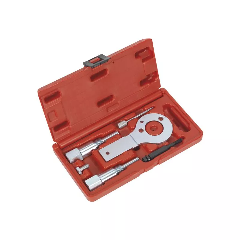 Piges de calage moteur SEALEY VSE5886A