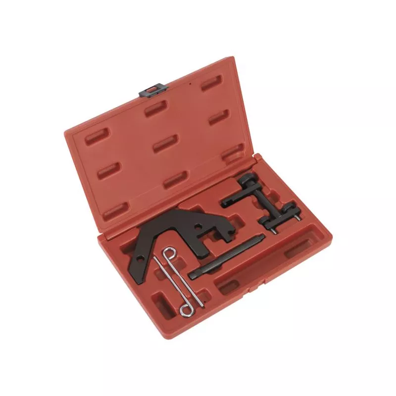 Piges de calage moteur SEALEY VSE5666