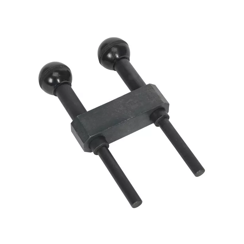 Piges de calage moteur SEALEY VSE2357A