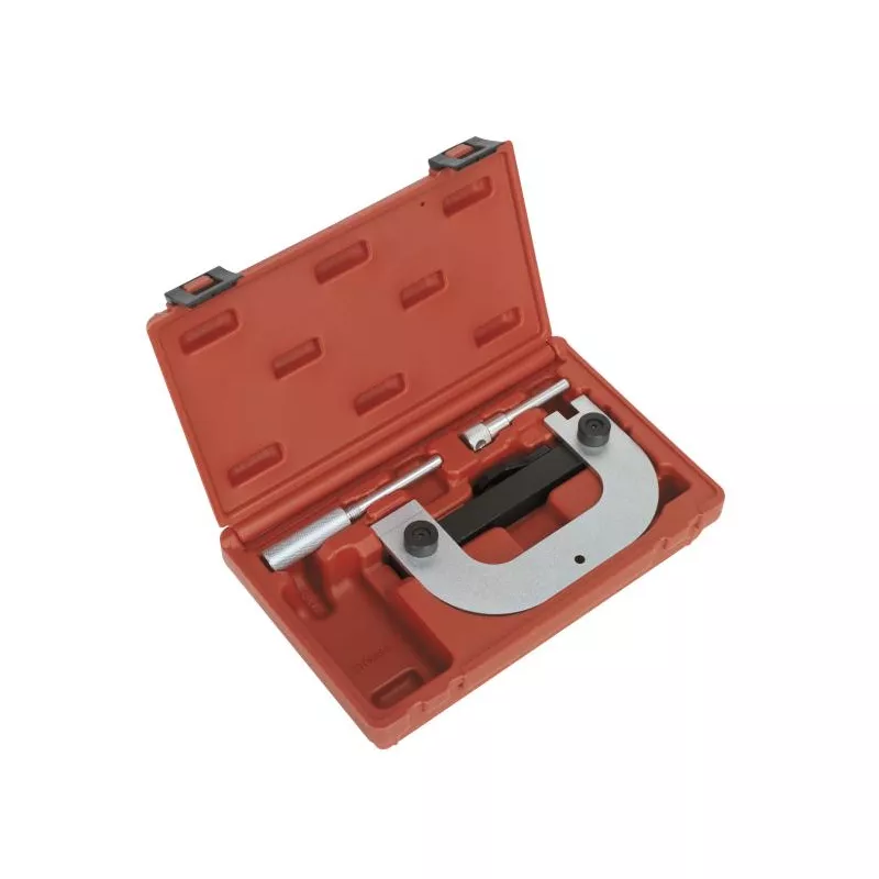 Piges de calage moteur SEALEY VSE5071