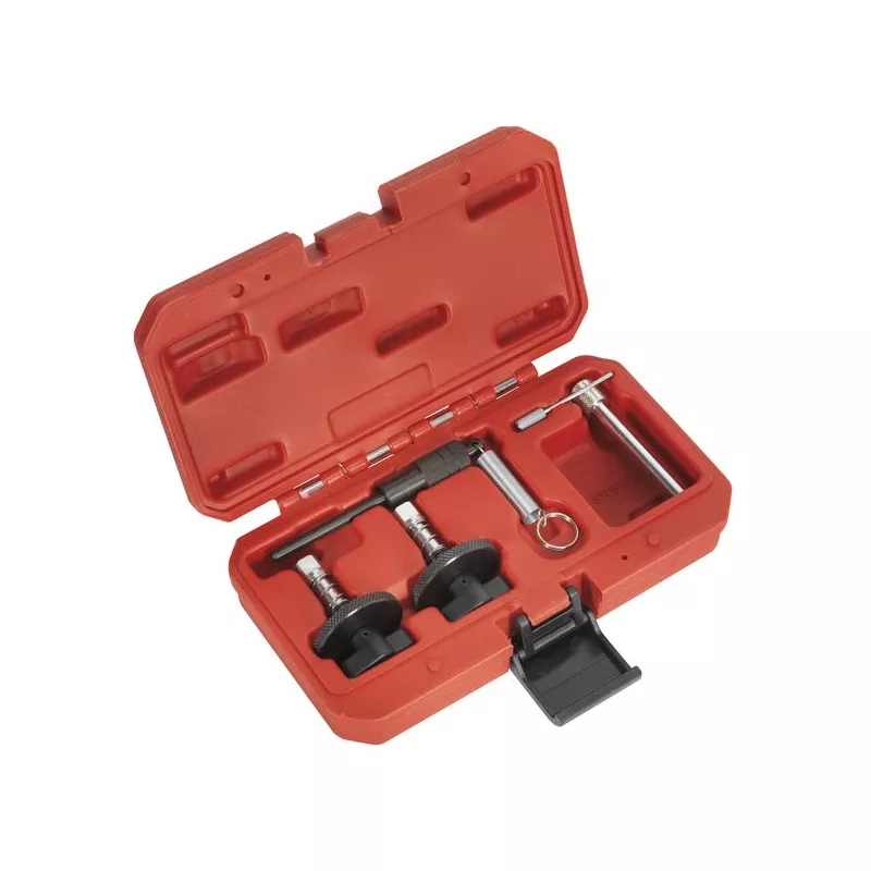Piges de calage moteur SEALEY VSE5881A