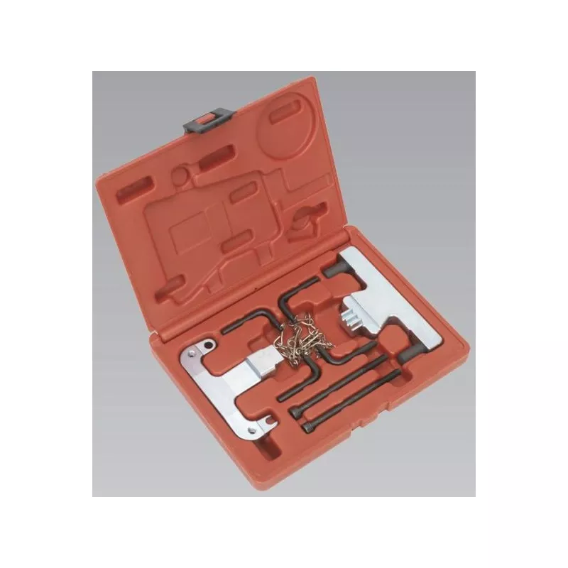 Piges de calage moteur SEALEY SEA VSE4800