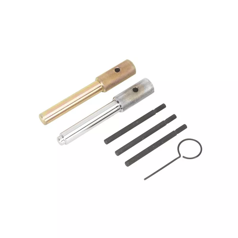 Piges de calage moteur SEALEY VSE5842