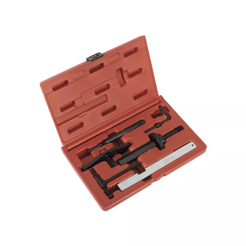 Piges de calage moteur SEALEY VSE5843
