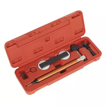 Piges de calage moteur SEALEY VSE5956A