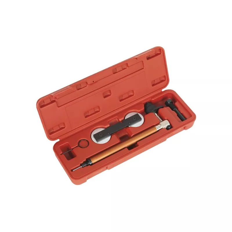 Piges de calage moteur SEALEY VSE5956A