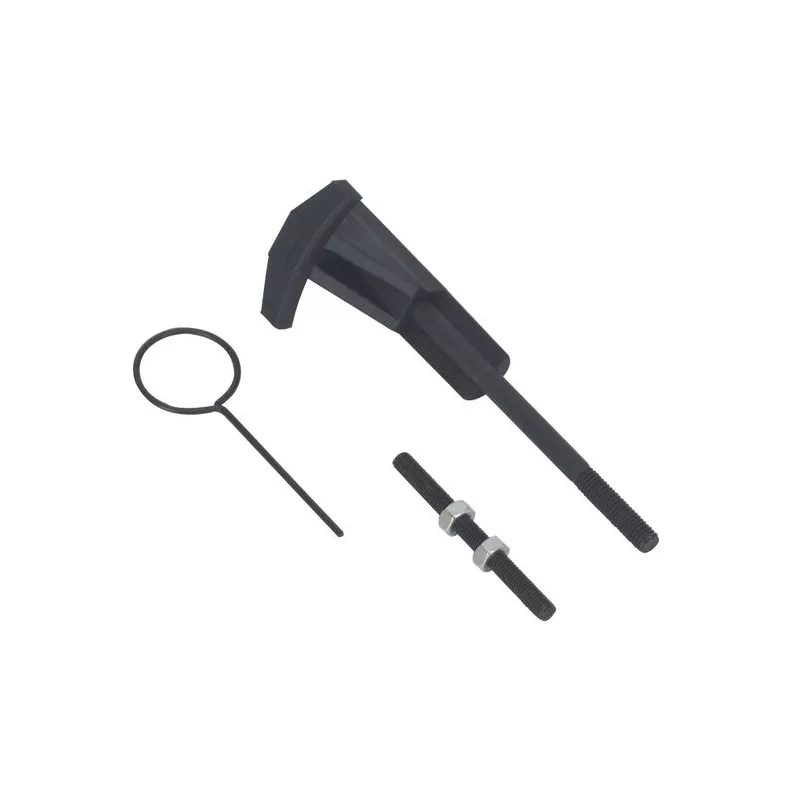 Piges de calage moteur SEALEY VSE5909