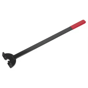 Piges de calage moteur SEALEY VSE23581