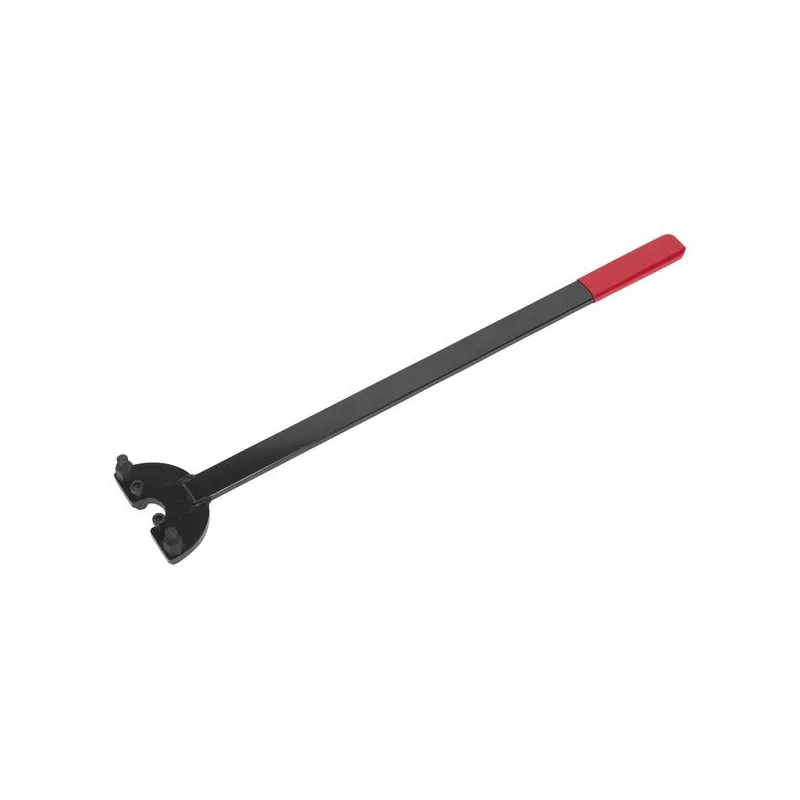 Piges de calage moteur SEALEY VSE23581