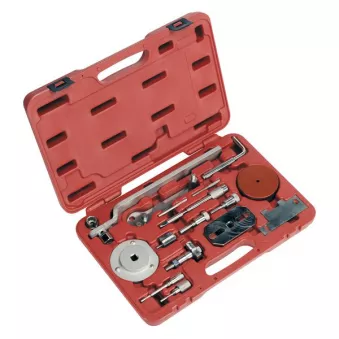 Piges de calage moteur SEALEY VSE5036