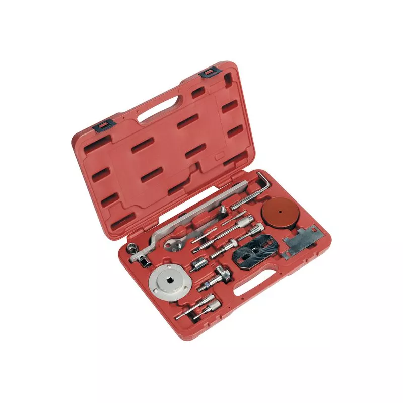 Piges de calage moteur SEALEY VSE5036