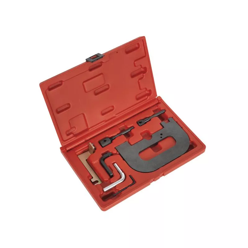 Piges de calage moteur SEALEY VSE5071A
