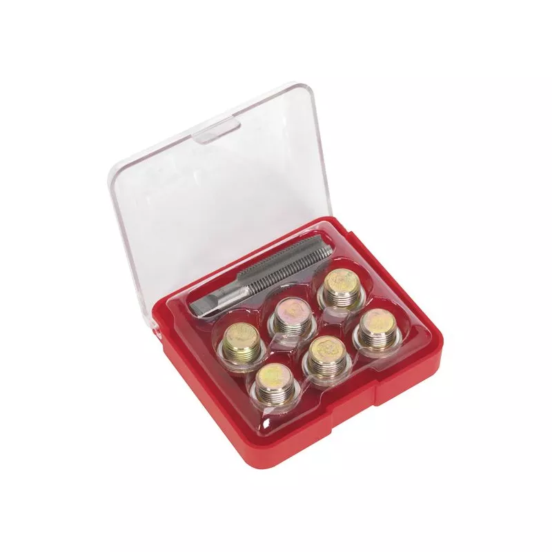 Kit de réparation pour bouchon de vidange SEALEY VS617