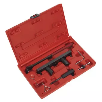 Piges de calage moteur SEALEY