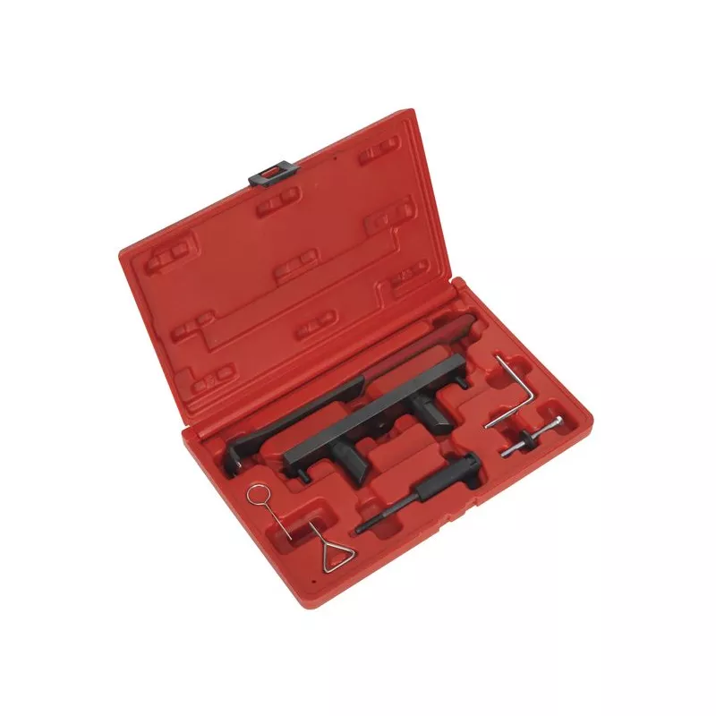 Piges de calage moteur SEALEY VSE6171