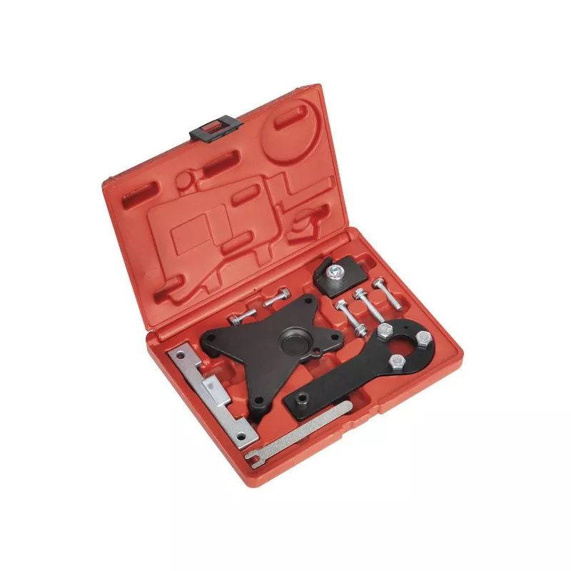 Piges de calage moteur SEALEY VSE5061