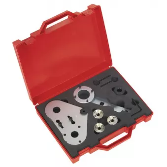 Piges de calage moteur SEALEY SEA VS5125