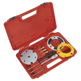 Piges de calage moteur SEALEY VSE5841A