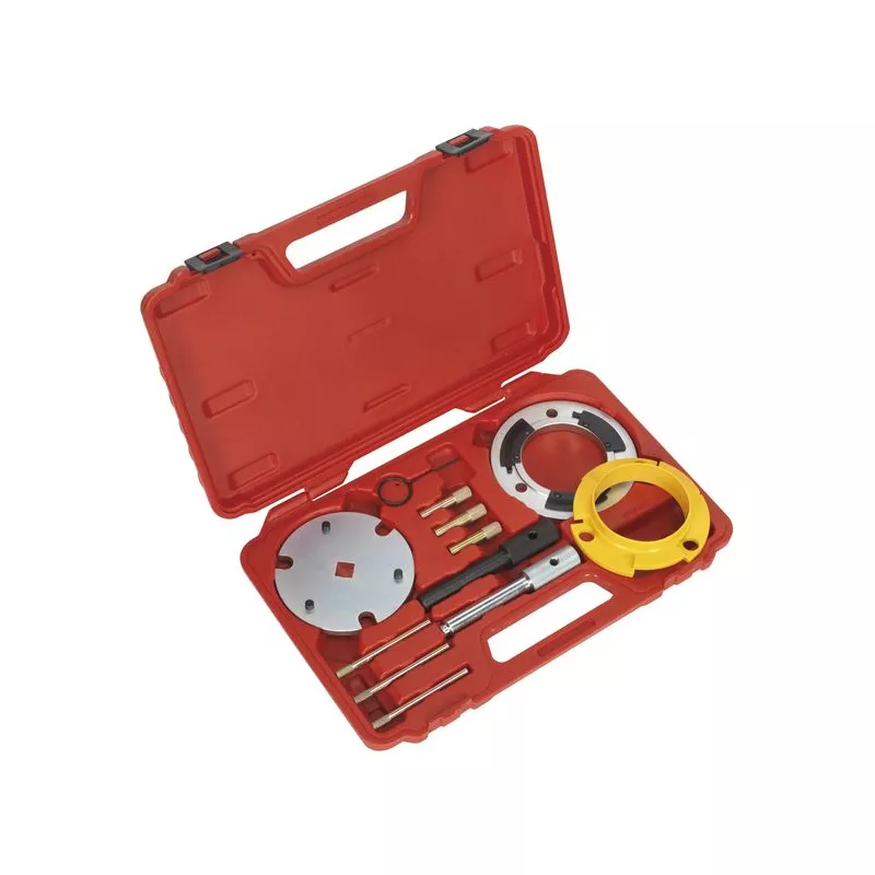 Piges de calage moteur SEALEY VSE5841A