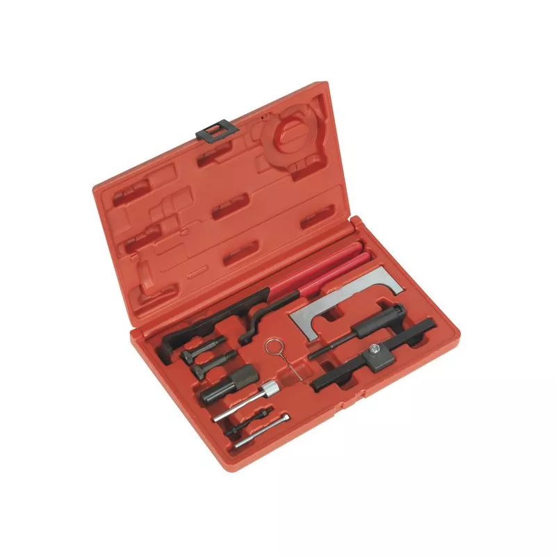 Piges de calage moteur SEALEY VSE5851