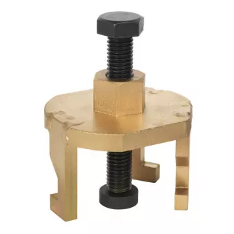 Piges de calage moteur SEALEY VSE50422