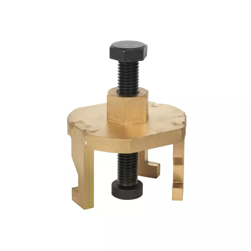 Piges de calage moteur SEALEY VSE50422