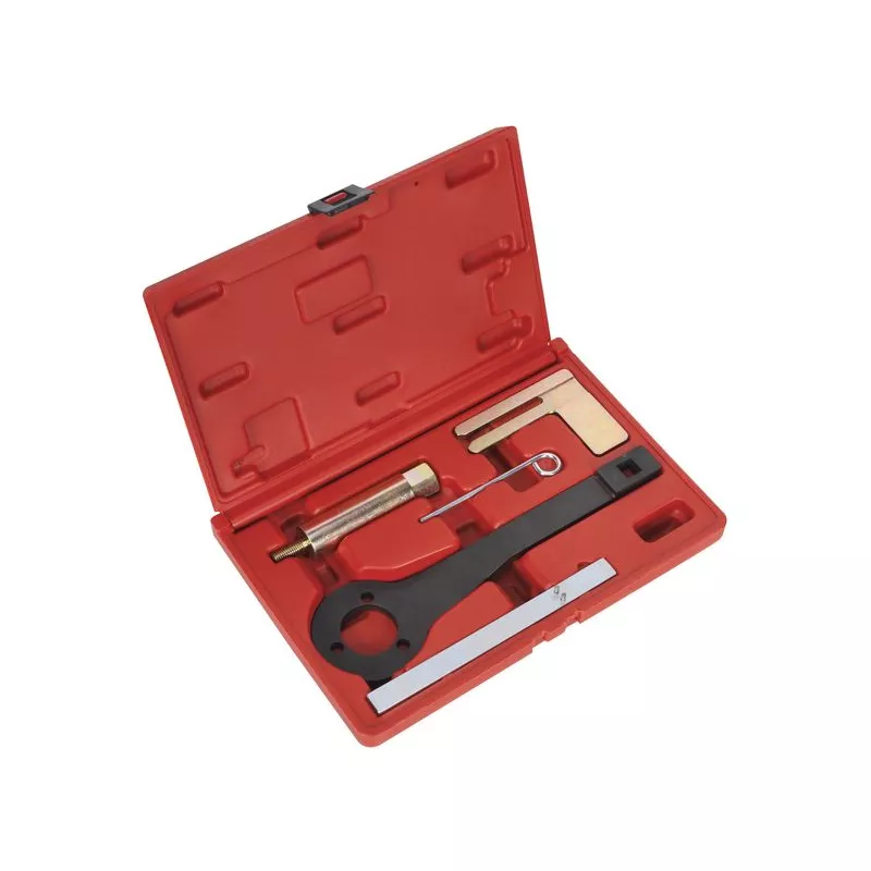 Piges de calage moteur SEALEY VSE6156