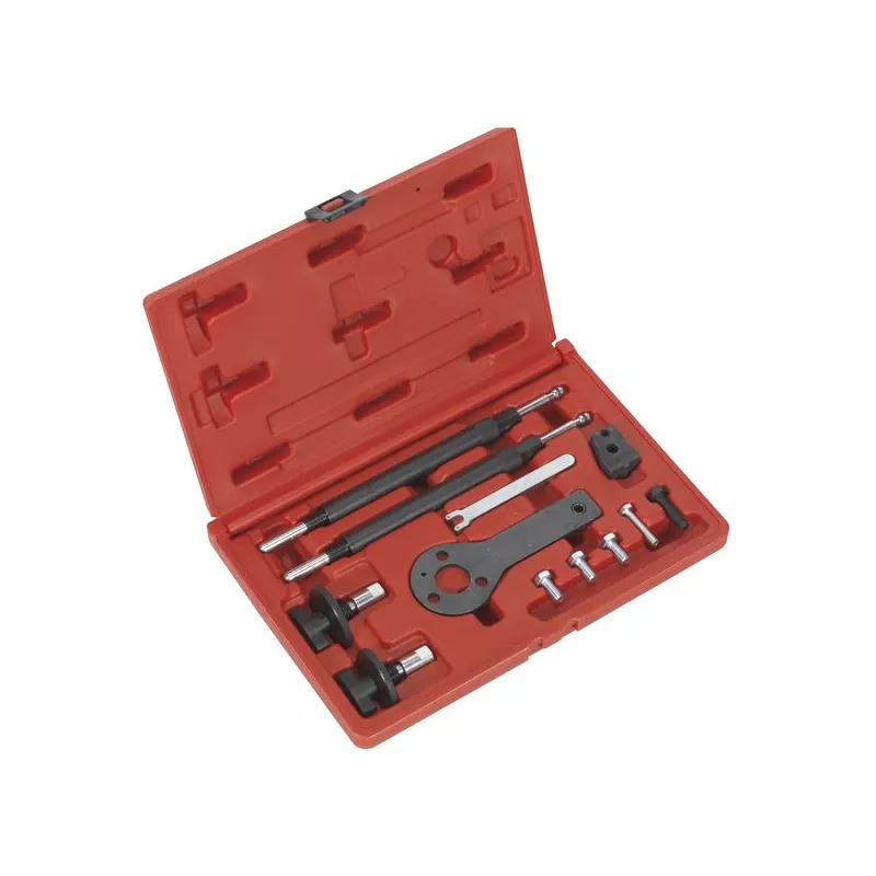Piges de calage moteur SEALEY VSE2511A