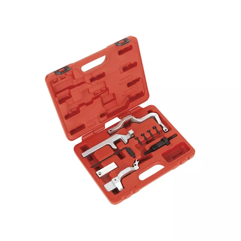 Piges de calage moteur SEALEY VSE6131