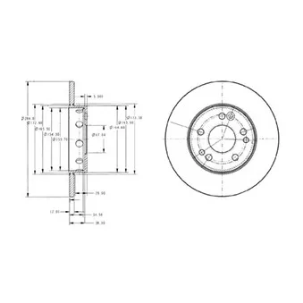 Jeu de 2 disques de frein avant DELPHI